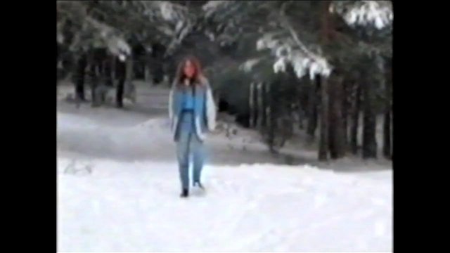 Video Reference: snow, winter, forest, trees, person, walking, outdoors, cold, landscape, nature