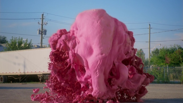 Video Reference: Sky, Plant, Sculpture, Purple, Tree, Pink, Art, Grass, Feather, Magenta