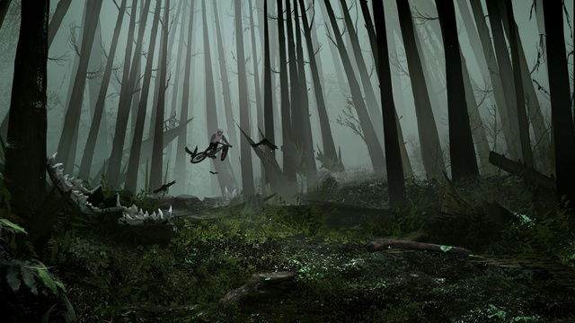 Video Reference: Plant, Natural landscape, Natural environment, Wood, Terrestrial plant, Trunk, Sunlight, Grass, Fog, Sky