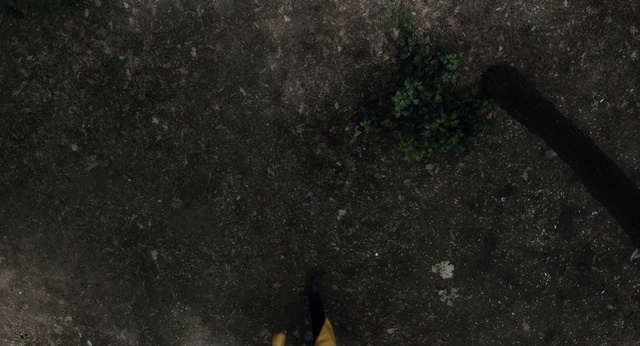 Video Reference: Grey, Tar, Road surface, Asphalt, Automotive tire, Tints and shades, Wood, Sidewalk, Grass, Concrete