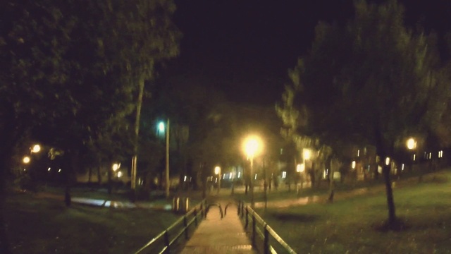 Video Reference: Automotive lighting, Plant, Street light, Road surface, Leaf, Tree, Atmospheric phenomenon, Sky, Public space, Thoroughfare