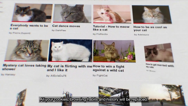 Video Reference: Cat, Facial expression, Felidae, Small to medium-sized cats, Carnivore, Organism, Whiskers, Collage, Font, Photo caption