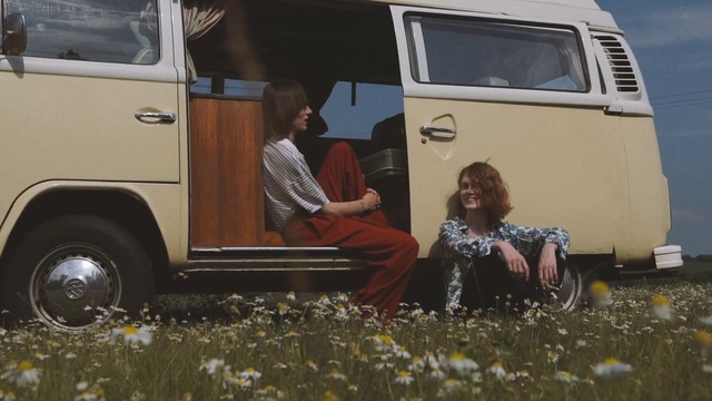 Video Reference: Tire, Plant, Vehicle, Car, Motor vehicle, Wheel, Volkswagen type 2, Van, Natural environment, Flower