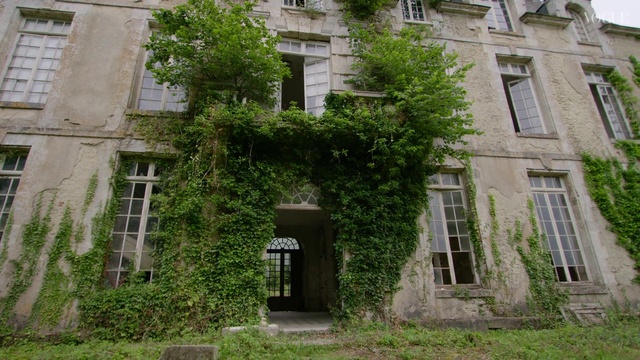 Video Reference: Plant, Window, Property, Building, Vegetation, Land lot, Brickwork, Brick, Grass, Cottage