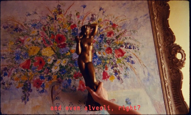 Video Reference: Paint, Textile, Art, Flower, Artist, Painting, Trunk, Tree, Visual arts, Mural