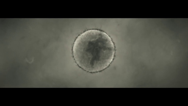 Video Reference: Sky, Cloud, Astronomical object, Circle, Font, Science, Event, Darkness, Rectangle, Monochrome photography