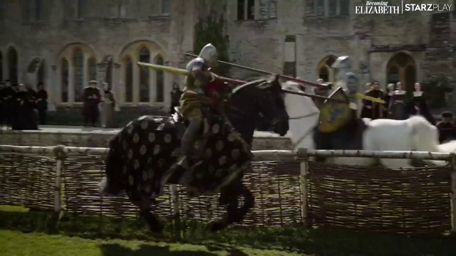 Video Reference: Working animal, Mammal, Horse supplies, Horse tack, Bridle, Knight, Saddle, Cuirass, Grass, Rein