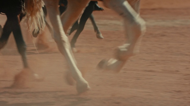 Video Reference: Human body, Wood, Entertainment, Dance, Performing arts, Foot, Human leg, Hardwood, Flooring, Barefoot