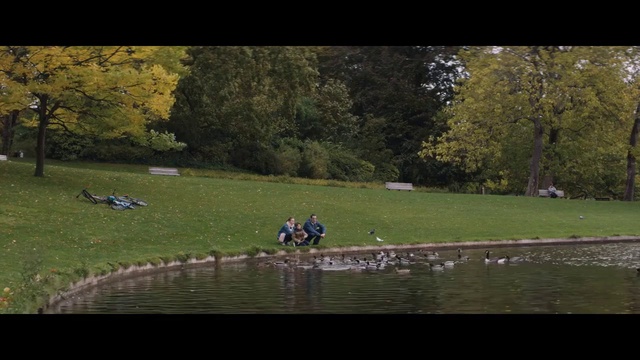 Video Reference: Water, Plant, Tree, Lake, Natural landscape, Leisure, Bank, Grass, Landscape, Recreation