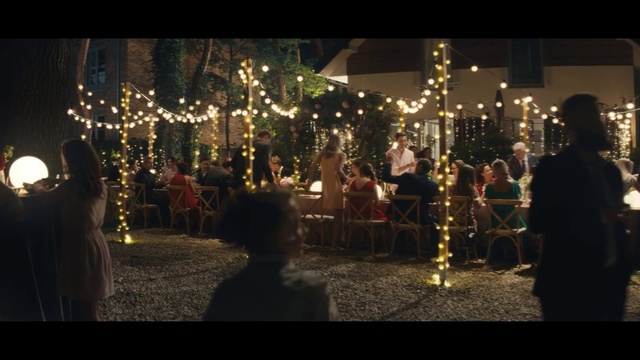 Video Reference: Plant, Christmas decoration, Window, Electricity, Decoration, Midnight, City, Event, Holiday, Fun