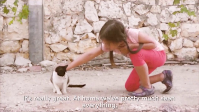 Video Reference: Cat, Carnivore, Adaptation, Felidae, Small to medium-sized cats, Leisure, Thigh, T-shirt, Human leg, Sitting