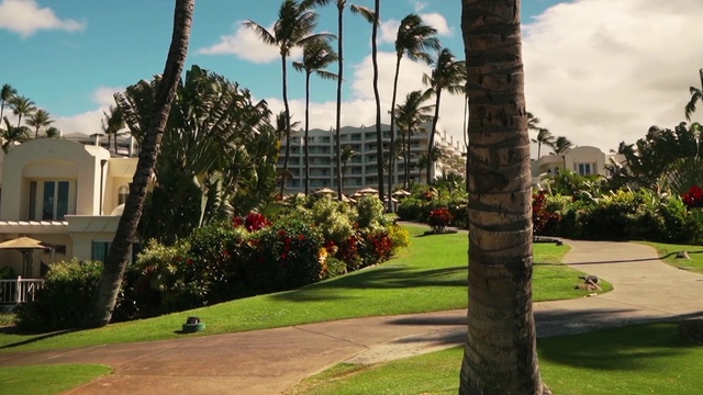 Video Reference: Cloud, Plant, Sky, Property, Building, Nature, Window, Botany, Tree, Land lot