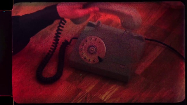 Video Reference: Shoe, Automotive lighting, Plant, Petal, Bag, Flash photography, Headgear, Wood, Eyewear, Tints and shades