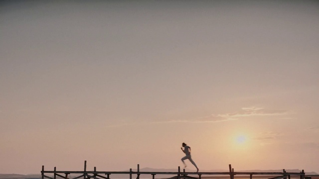 Video Reference: Sky, Cloud, Water, Afterglow, People in nature, Sunset, Dusk, Sunrise, Wood, Horizon