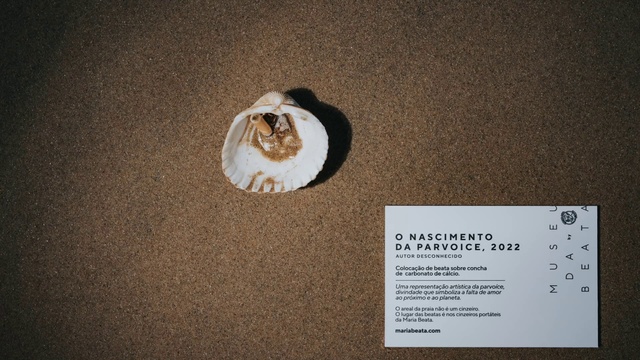 Video Reference: Brown, Carnivore, Felidae, Cat, Small to medium-sized cats, Wood, Font, Circle, Brand, Recipe