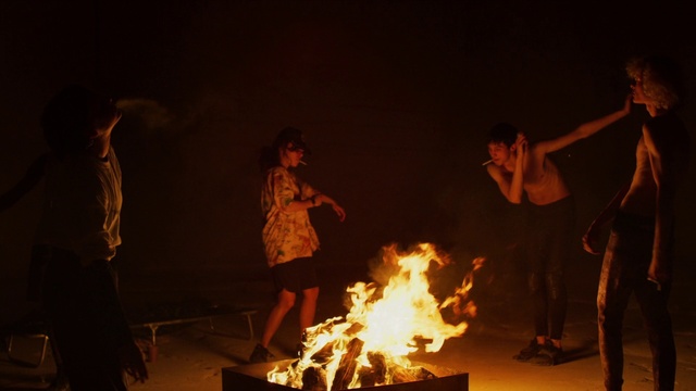 Video Reference: Bonfire, Fire, Flash photography, Entertainment, Flame, Heat, Fun, Campfire, Landscape, Leisure