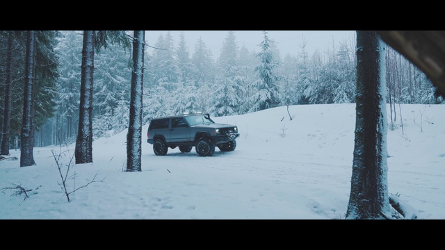 Video Reference: Tire, Car, Wheel, Snow, Vehicle, Automotive tire, Automotive lighting, Motor vehicle, Tree, Tread