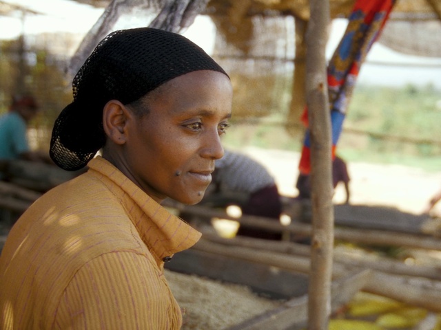 Video Reference: Chin, Smile, Human, Temple, Happy, Community, Black hair, Leisure, Landscape, Soil