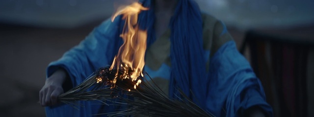 Video Reference: Hand, Water, Tree, Fire, Wood, Flame, Heat, Event, Service, Electric blue