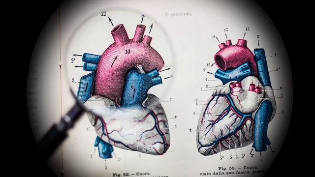 Video Reference: Mouth, Jaw, Organism, Gesture, Font, Art, Painting, Magenta, Human anatomy, Drawing
