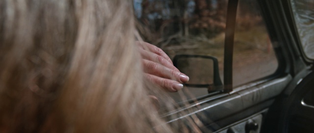 Video Reference: Wood, Eyelash, Fawn, Snout, Vehicle door, Grass, Whiskers, Window, Automotive exterior, Windshield