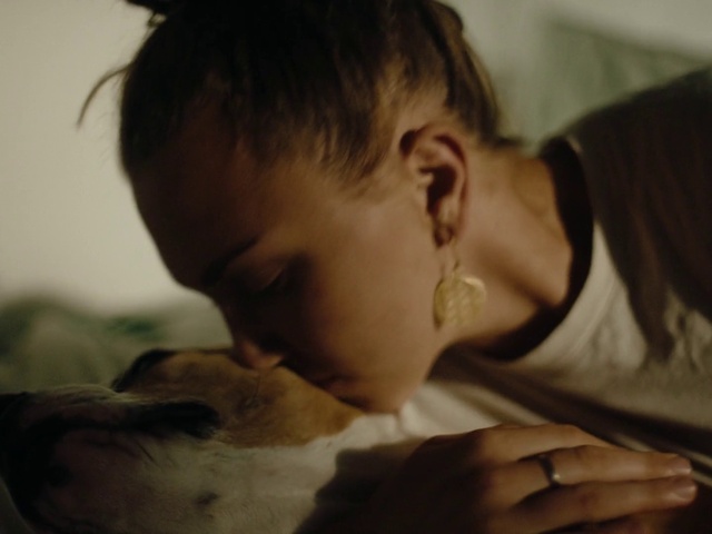 Video Reference: Nose, Comfort, Ear, Eyelash, Dog, Carnivore, Dog breed, Companion dog, Happy, Whiskers