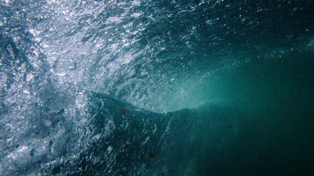 Video Reference: Water, Liquid, Fluid, Wind wave, Electric blue, Wave, Ocean, Recreation, Tide, Marine mammal