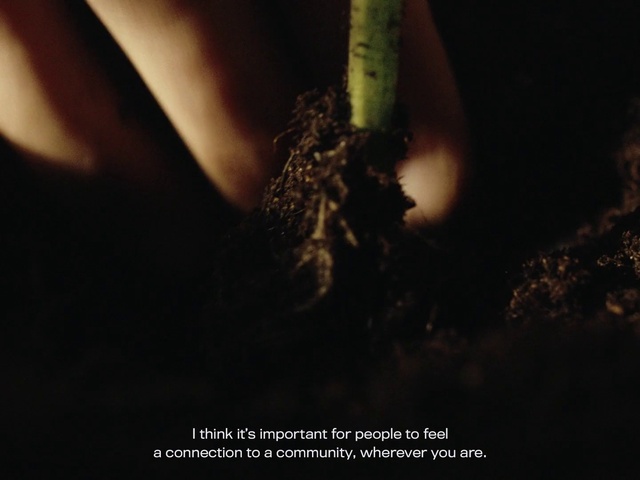 Video Reference: Terrestrial plant, Flash photography, Plant, Wood, Twig, Tints and shades, Event, Darkness, Soil, Macro photography