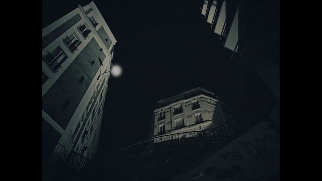 Video Reference: Building, Window, Sky, Skyscraper, Street light, Black-and-white, Grey, Tower block, Tints and shades, Rectangle