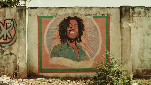 Video Reference: Hair, Chin, Hairstyle, Eye, Plant, Temple, Paint, Wood, Art, Painting