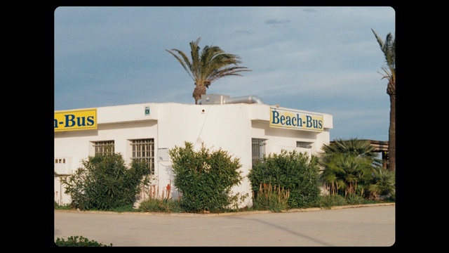 Video Reference: Sky, Plant, Property, Building, Arecales, Cloud, Window, Tree, Rectangle, Woody plant