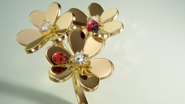 Video Reference: Plant, Body jewelry, Petal, Gold, Natural material, Ornament, Headgear, Oval, Wedding ceremony supply, Cross