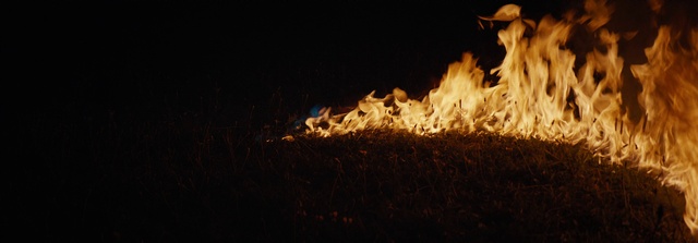 Video Reference: Bonfire, Fire, Wood, Flame, Heat, Campfire, Grass, Gas, Event, Landscape