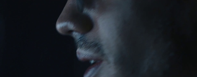 Video Reference: Eyelash, Jaw, Felidae, Window, Flash photography, Ear, Whiskers, Small to medium-sized cats, Carnivore, Dog breed