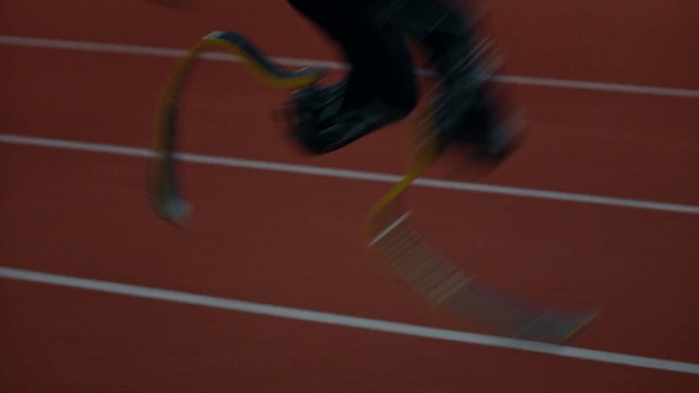 Video Reference: Plant, Track and field athletics, Wood, Flooring, Asphalt, Window, Race track, Player, Team sport, Athletic shoe
