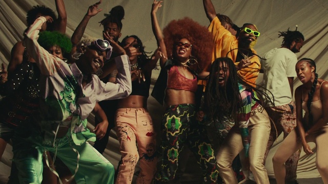 Video Reference: Entertainment, Performing arts, Dance, Leisure, Happy, Event, Crowd, Jewellery, Tradition, Trunk