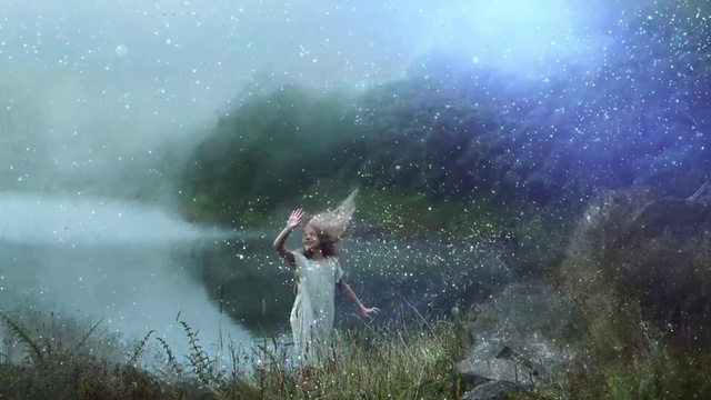 Video Reference: Atmosphere, Plant, People in nature, Flash photography, Organism, Happy, Grass, Natural landscape, Sky, Grassland