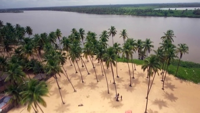 Video Reference: Water, Plant, Sky, Ecoregion, Tree, Arecales, Natural landscape, Beach, Vegetation, Coastal and oceanic landforms