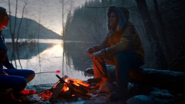 Video Reference: Ash, Nature, Natural environment, Wood, Fire, Bonfire, Atmospheric phenomenon, Tree, People in nature, Plant