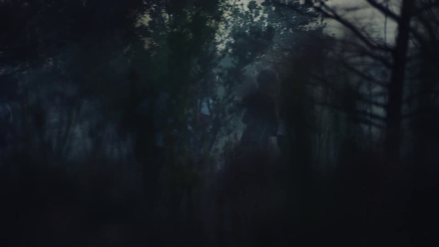 Video Reference: Water, Plant, Grey, Wood, Tree, Natural landscape, Twig, Trunk, Tints and shades, Midnight