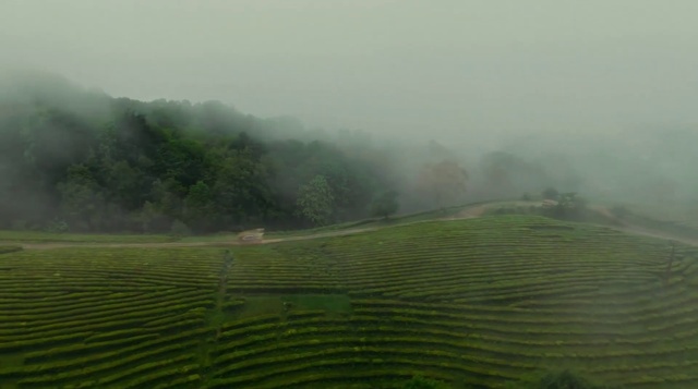 Video Reference: Plant, Sky, Cloud, Fog, Natural landscape, Highland, Tree, Mountain, Land lot, Atmospheric phenomenon