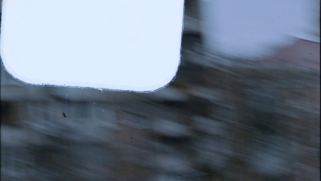 Video Reference: Window, Plant, Water, Grey, Wood, Twig, Sky, Tints and shades, Tree, Slope