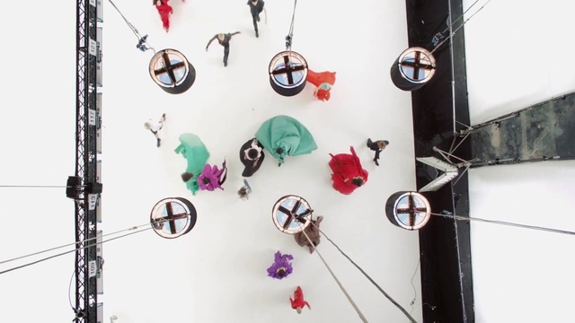 Video Reference: Font, Art, Circle, Jewellery, Magenta, Ornament, Fashion accessory, Carmine, Visual arts, Plant