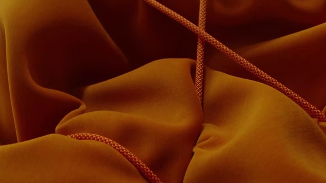 Video Reference: Plant, Petal, Tints and shades, Chest, Pattern, Peach, Human leg, Flowering plant, Tree, Symmetry