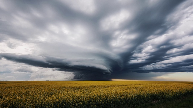 Video Reference: Cloud, Sky, Plant, Atmosphere, Ecoregion, Natural landscape, People in nature, Sunlight, Atmospheric phenomenon, Grass