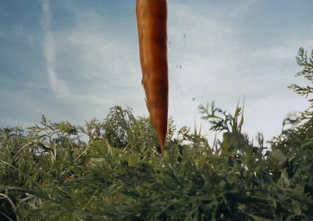 Video Reference: Cloud, Sky, Gesture, Plant, Grass, Grass family, Wood, Agriculture, Cumulus, Art