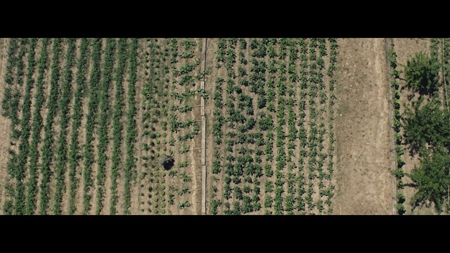 Video Reference: Rectangle, Wood, Font, Handwriting, Pattern, Tints and shades, Flooring, Symmetry, Grass, Carpet