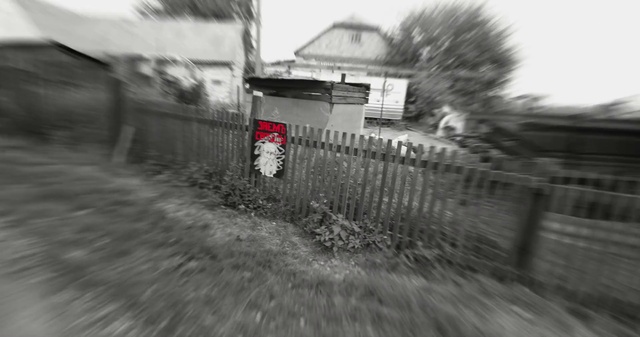 Video Reference: Plant, Automotive tire, Fence, Black-and-white, Grey, Grass, Asphalt, Tree, Rural area, Landscape
