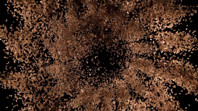 Video Reference: Brown, Wood, Pattern, Tints and shades, Close-up, Soil, Grass, Plant, Rock, Event