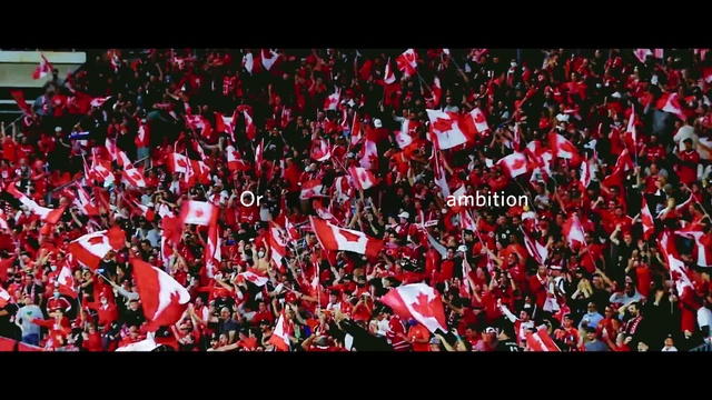 Video Reference: Font, Petal, Grass, Event, Fan, Pattern, Plant, Art, Magenta, Carmine